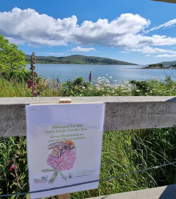 Escape To The Beara Peninsula. Apartment Castletownbere Exterior foto